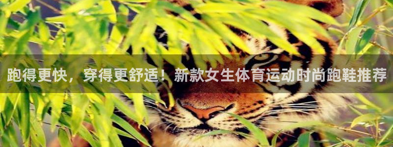 bbin视讯下