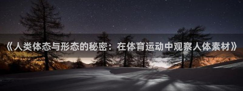 bbin视讯游戏平台