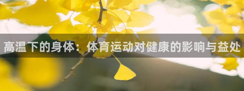 bbin视讯游戏平台