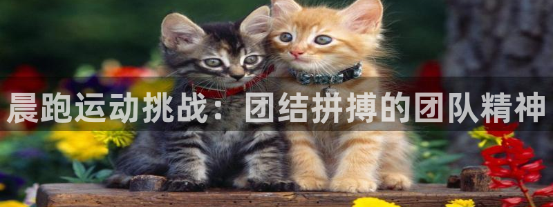 bbin视讯游戏官网