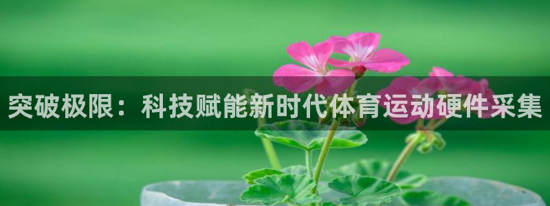 bbin视讯游戏平台