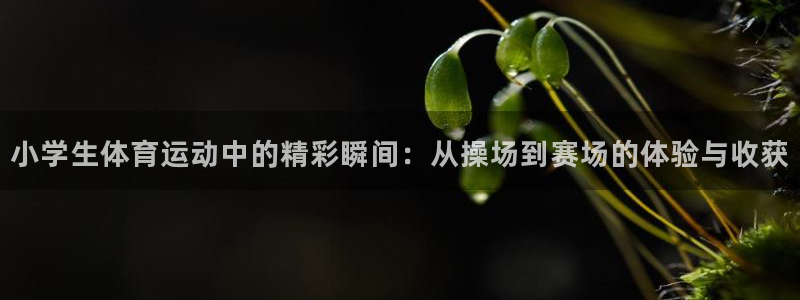 bbin视讯游戏官网