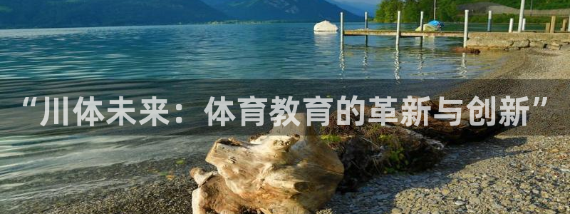 bbin视讯下