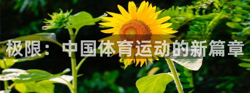 bbin视讯下