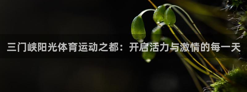 bbin视讯下